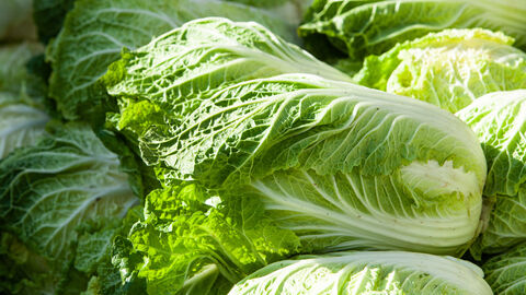 Chinakohl Verschiedene Köpfe Chinakohl aufeinander